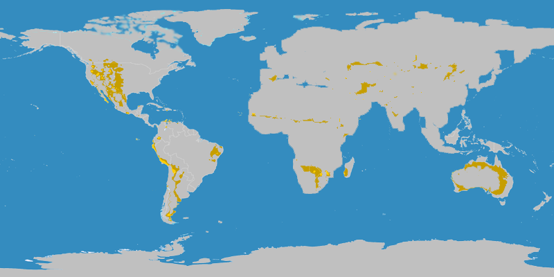 Karte der Savannen (gelb)