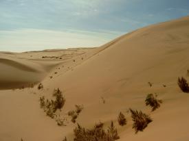 Désert de Gobi, Mongolie Intérieure, Chine<br />Auteur: Junming