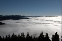 Nebel in einem Tal des Schwarzwaldes