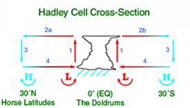 Cellule d'Hadley en coupe transversale<br />Source: D. Windrim (2004)