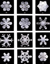 Schneekristalle, Fotos von Forscher Wilson Bentley